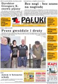 Pałuki i Ziemia Mogileńska