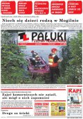 Pałuki i Ziemia Mogileńska