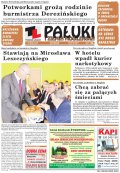 Pałuki i Ziemia Mogileńska