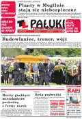 Pałuki i Ziemia Mogileńska