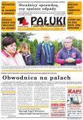 Pałuki i Ziemia Mogileńska