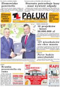 Pałuki i Ziemia Mogileńska
