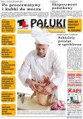 Pałuki i Ziemia Mogileńska