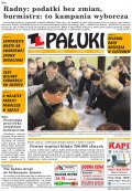 Pałuki