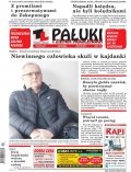 Pałuki i Ziemia Mogileńska