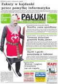 Pałuki i Ziemia Mogileńska