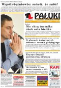Pałuki i Ziemia Mogileńska