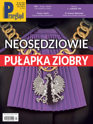 Przegląd