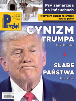 Przegląd