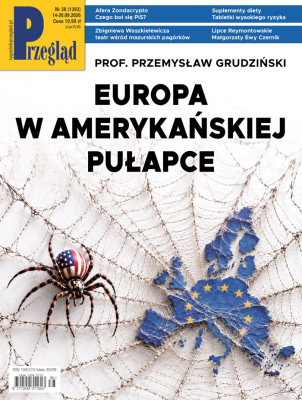 Przegląd
