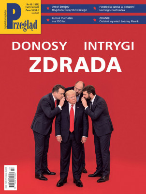 Przegląd